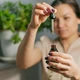 Imagem - Cannabis medicinal: o que diz a ciência e a prática médica