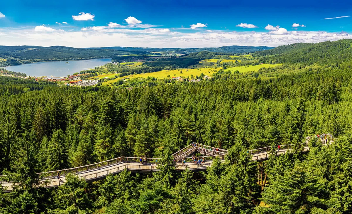 Passarela nas Copas das Árvores em Lipno, na República Tcheca por Visit Czechia/Divulgação