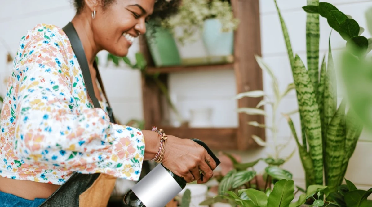 Uma especiaria comum pode ser a solução para os problemas do seu jardim