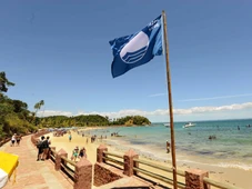 Imagem - Praia de Salvador com águas cristalinas é eleita a melhor do mundo em 2025