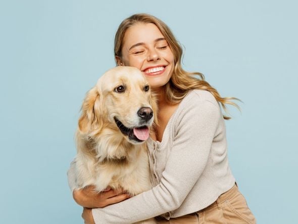 Imagem - 7 raças de cachorro mais tranquilas 