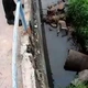 Imagem - Corpo é encontrado enrolado em colchão em córrego na Boca do Rio