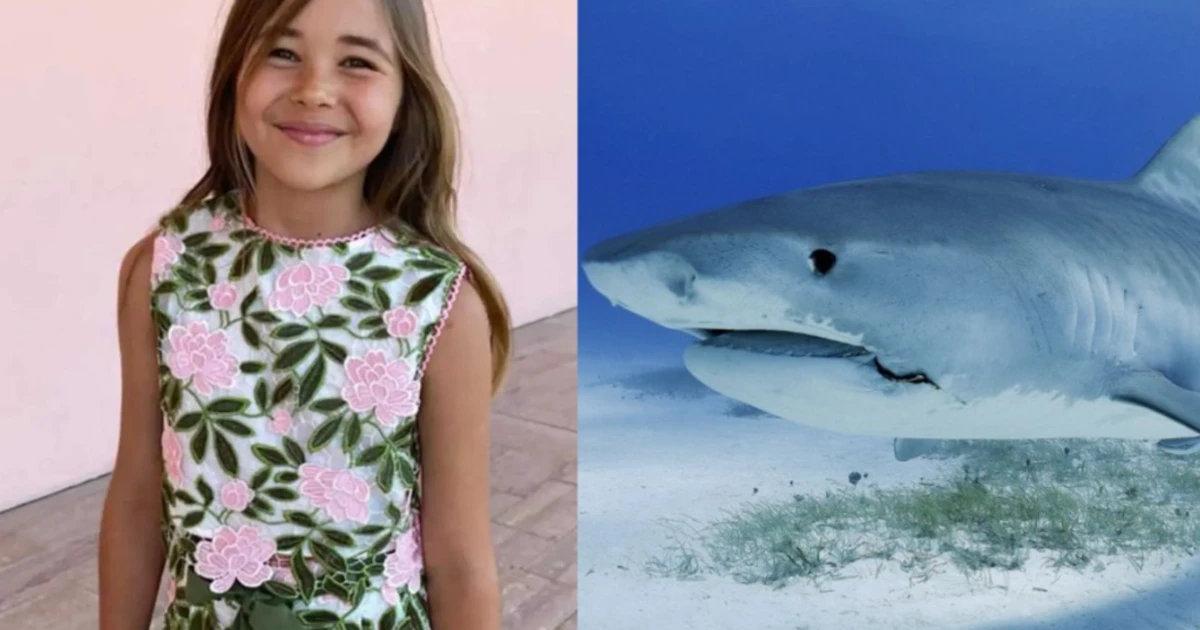 Imagem - Menina de 9 anos é atacada por tubarão, luta e sobrevive