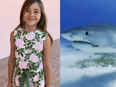 Imagem - Menina de 9 anos é atacada por tubarão, luta e sobrevive