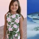Imagem - Menina de 9 anos é atacada por tubarão, luta e sobrevive
