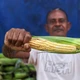 Imagem - Entenda como o milho, um alimento ancestral, virou o principal ingrediente do São João