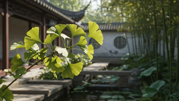 Adicione beleza e longevidade à sua casa com a poderosa Ginkgo biloba