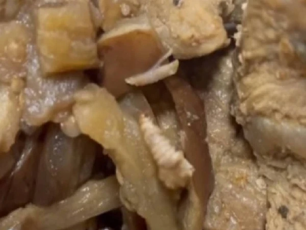 Larva na berinjela servida no jantar