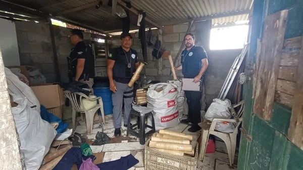 Quase três milhões de fogos foram apreendidos