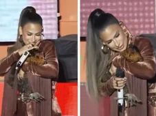 Imagem - VÍDEO: Simone Mendes adota galinha no palco durante show