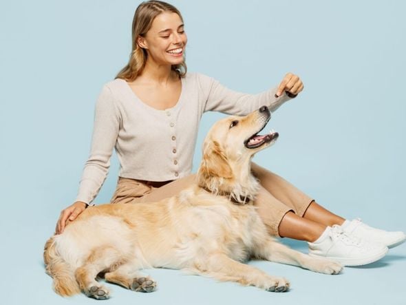 Imagem - Veja os sintomas e os tratamentos para artrite em animais
