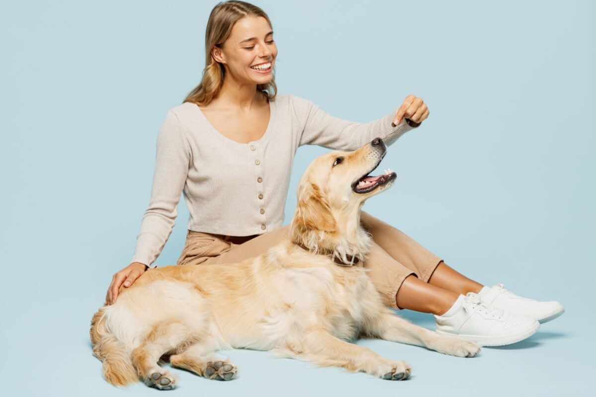 A artrite é uma doença que também pode afetar os animais (Imagem: ViDI Studio | Shutterstock)