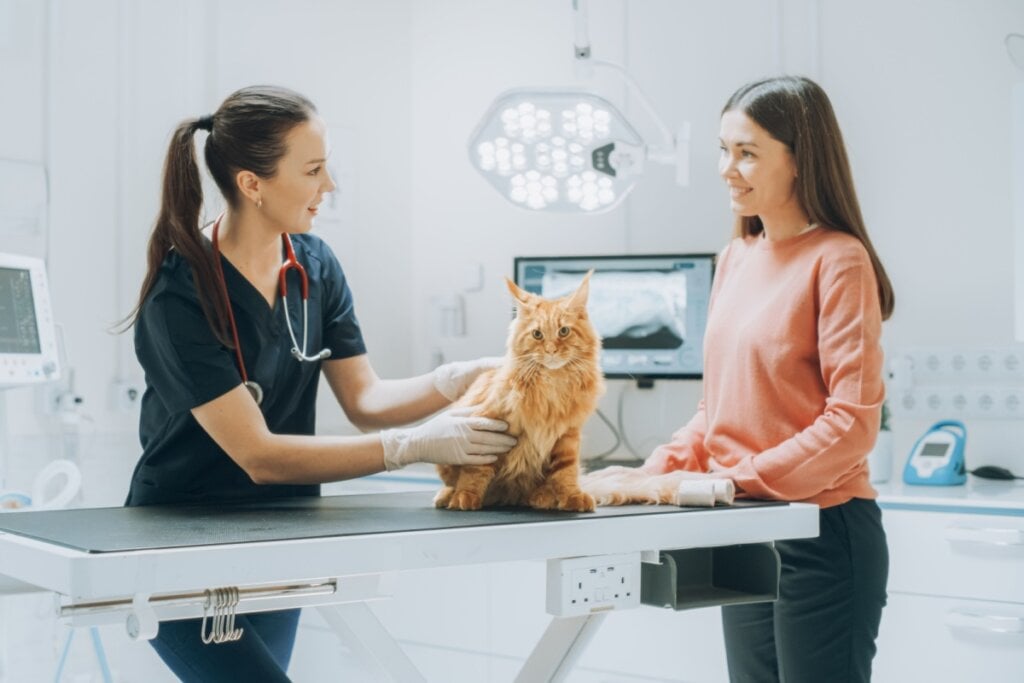A artrite pode atingir animais mais velhos ou acima do peso (Imagem: Gorodenkoff | Shutterstock)