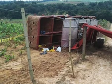 Imagem - Balão com mais de 30 pessoas cai e deixa passageira morta; piloto foi preso