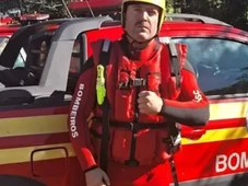 Imagem - Bombeiro morre após ser picado por aranha-marrom