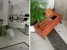 Imagem - Ladrão invade paróquia em Salvador e arromba cofre com doações; veja fotos
