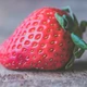 Imagem - Vídeo mostra por que você nunca mais vai querer comer morango sem lavar