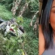 Imagem - Técnica de enfermagem morre após carro cair em área de mata no sul da Bahia