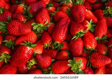 Morango por Shutterstock