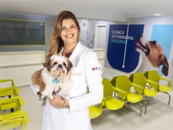 Unijorge