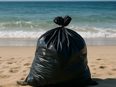 Imagem - Mais de 100 kg de lixo são recolhidos de praia do Litoral Norte baiano