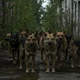 Imagem - Radiação de Chernobyl pode ter alterado genética de cachorros, segundo estudo