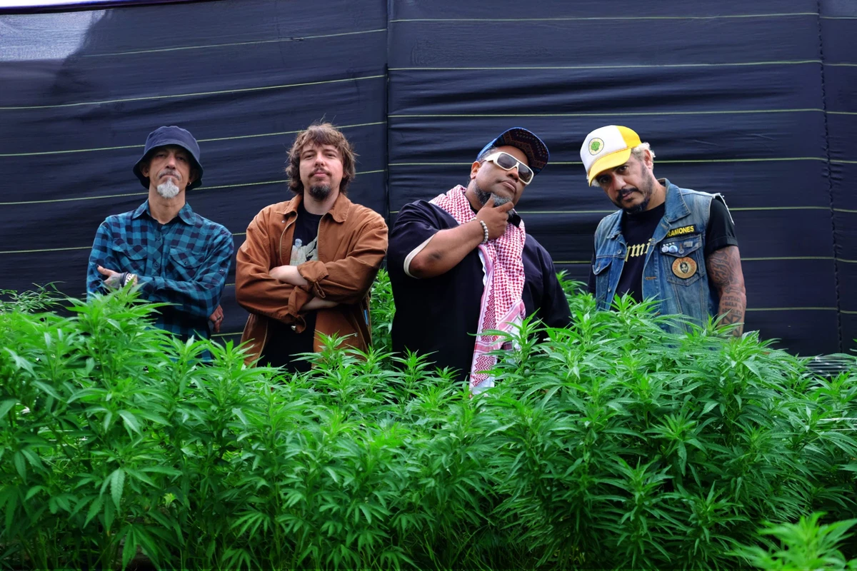 Planeta Hemp por Rodrigo Braga/Divulgação