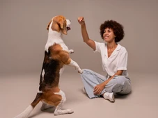 Imagem - Por que seu cachorro te dá a pata? Entenda o que ele diz