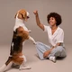 Imagem - Por que seu cachorro te dá a pata? Entenda o que ele diz