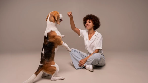Desvende os mistérios do toque canino e entenda seu melhor amigo