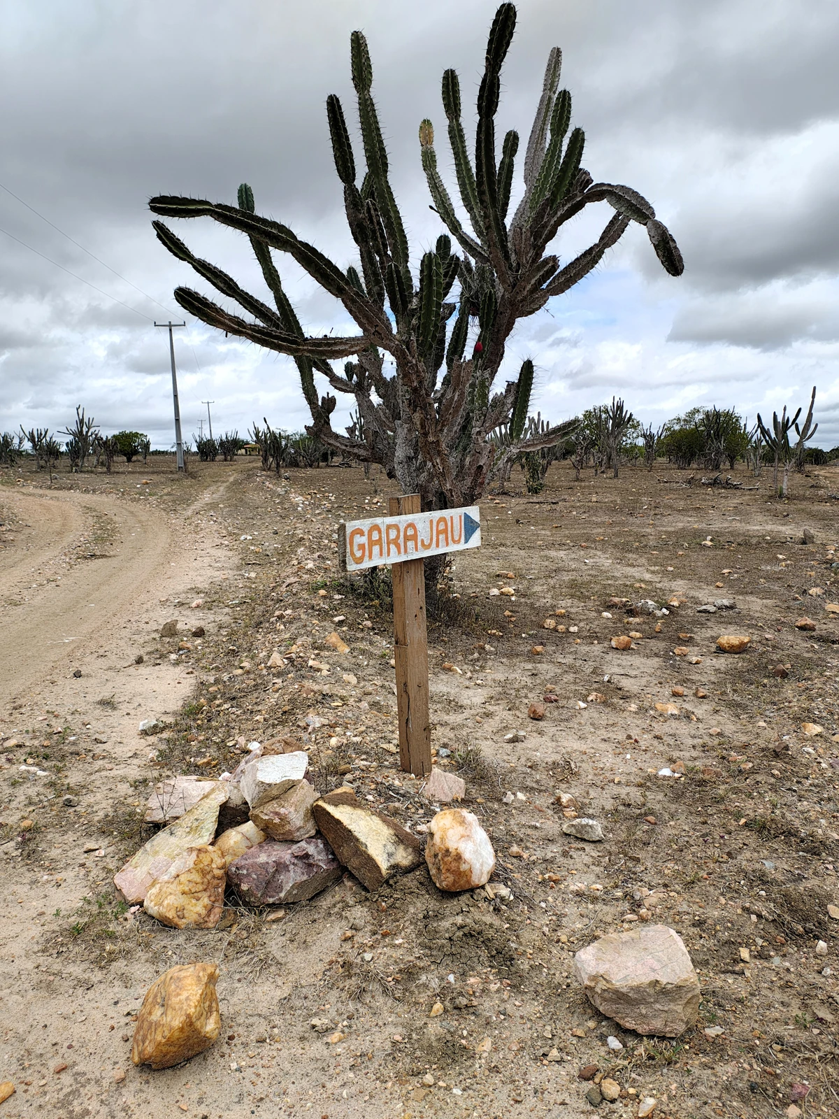 Uma das entradas: cactos e pedras pela Estrada do Feijão, entre Ipirá e Baixa Grande
