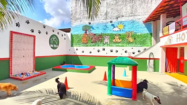 Dog Ville por auto-upload