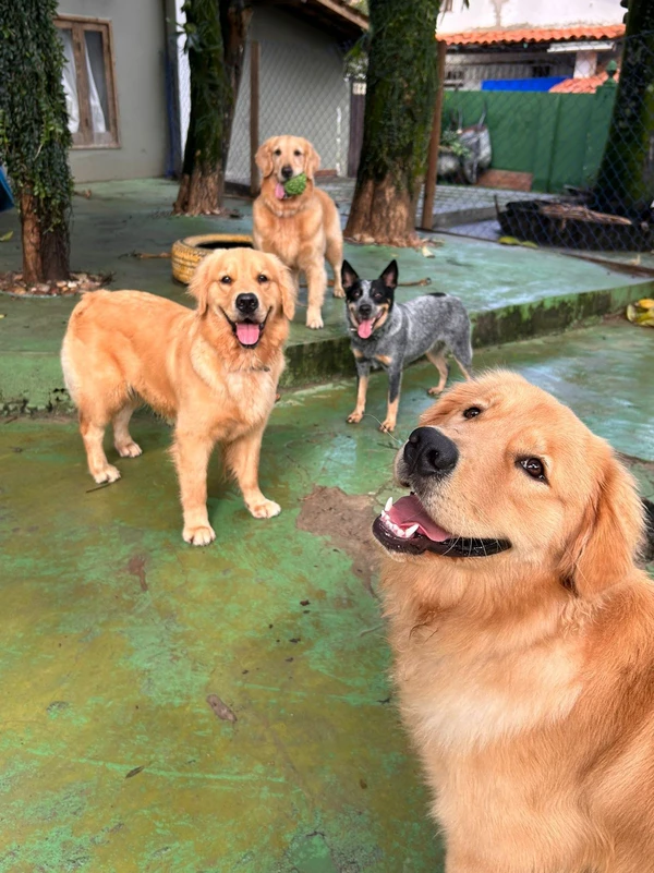 Fubá e amigos por Acervo pessoal