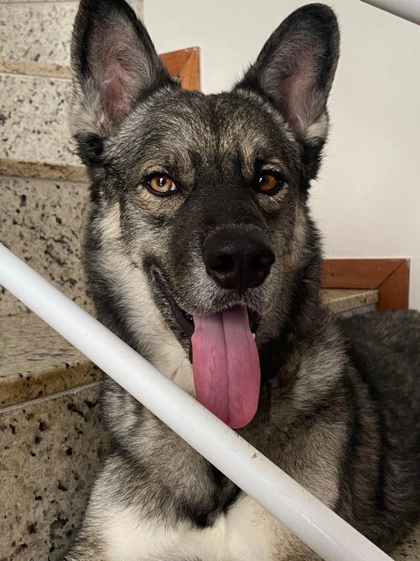 Max por Acervo pessoal