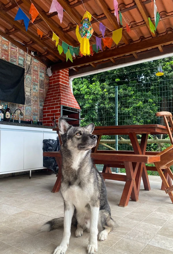 Max em clina junino por Acervo pessoal