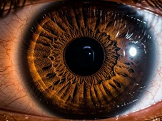 Imagem - O Alzheimer pode ser detectado nos olhos, muito antes da demência; veja como