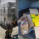 Imagem - Caminhão de carga de tecidos é interceptado com seis toneladas de maconha na Bahia