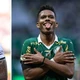 Imagem - Palmeiras e Botafogo voltam a se enfrentar em mata-mata: 'Quem não passar terá pressão'
