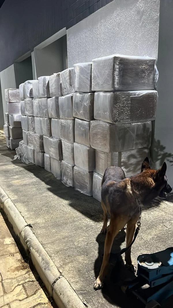 Caminhão foi interceptado na região de Poções por Divulgação/SSP