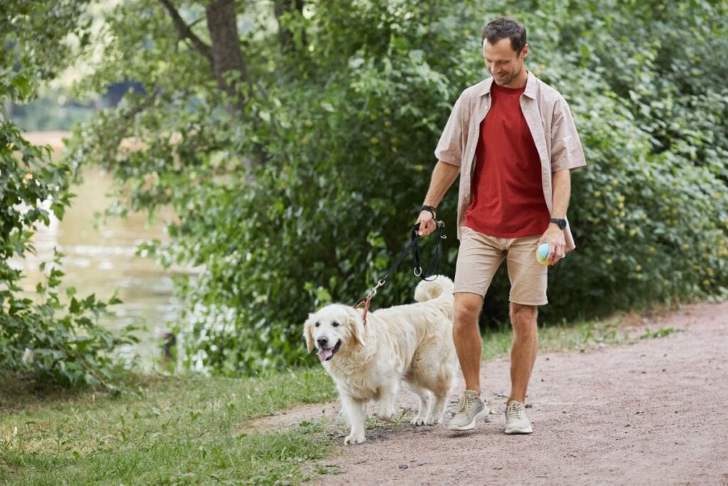 Caminhadas leves são importantes para a saúde física e mental dos animais idosos (Imagem: SeventyFour | Shutterstock)