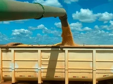 Imagem - Usinas vão investir R$ 40 bilhões na produção de etanol a partir do milho