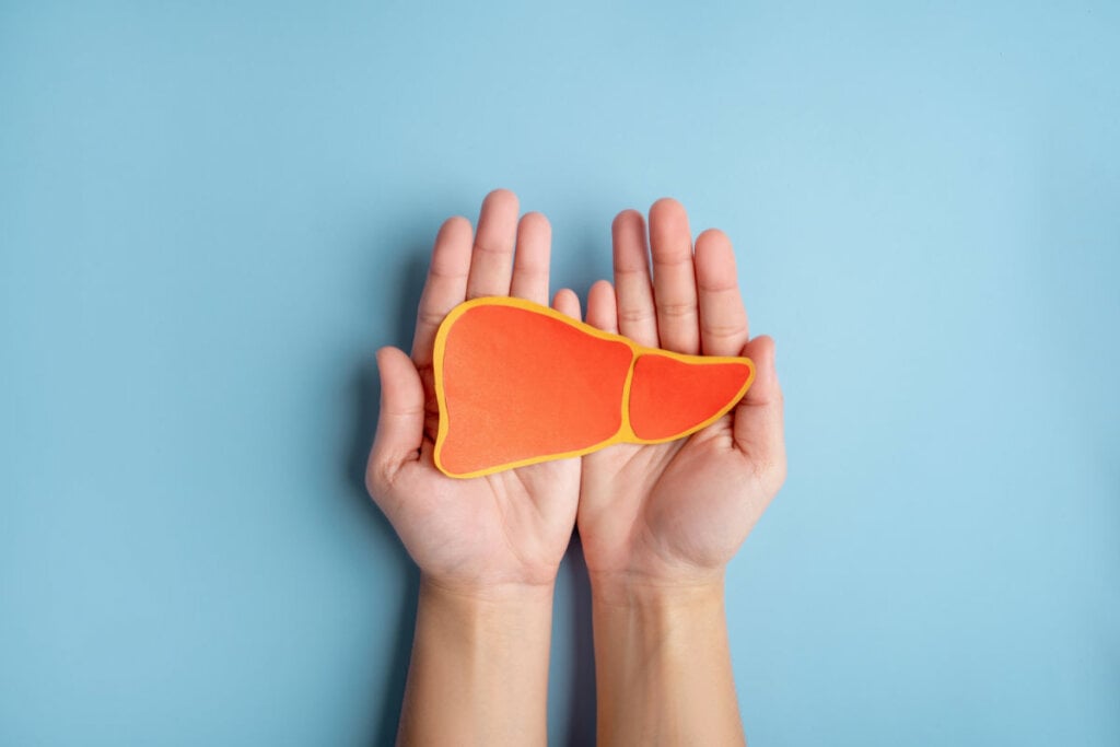 Alimentação errada pode prejudicar o funcionamento do fígado (Imagem: PBXStudio | Shutterstock)