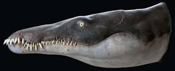 Pliossauro gigante tem o dobro do tamanho de uma orca por Reprodução