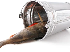 Imagem - Especialistas alertam: não coma os peixes dessa lista, que estão contaminados