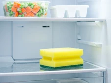 Imagem - Veja 5 formas inusitadas de reutilizar esponjas de cozinha usadas