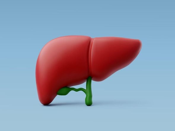 Imagem - Veja as causas e como prevenir a gordura no fígado