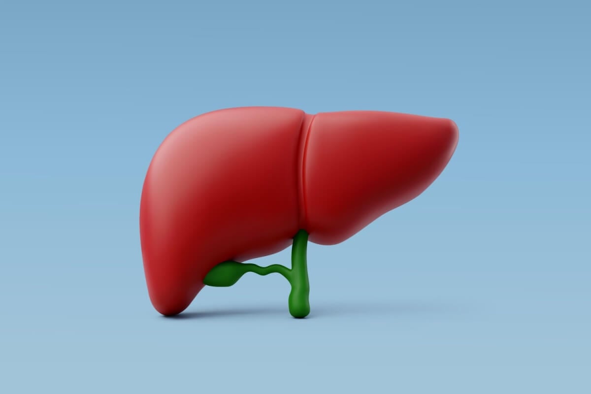 A gordura no fígado pode ser prejudicial para a saúde (Imagem: Thx4Stock team | Shutterstock)