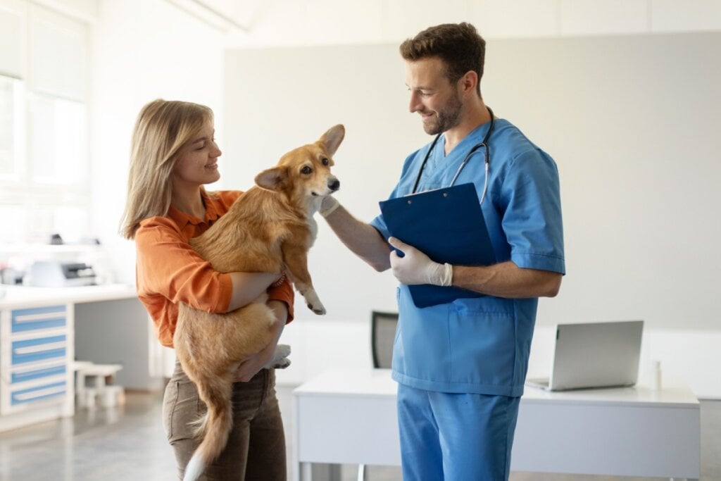 Inflamações nos rins dos animais podem ser causadas por infecções bacterianas ou virais (Imagem: fast-stock | Shutterstock)