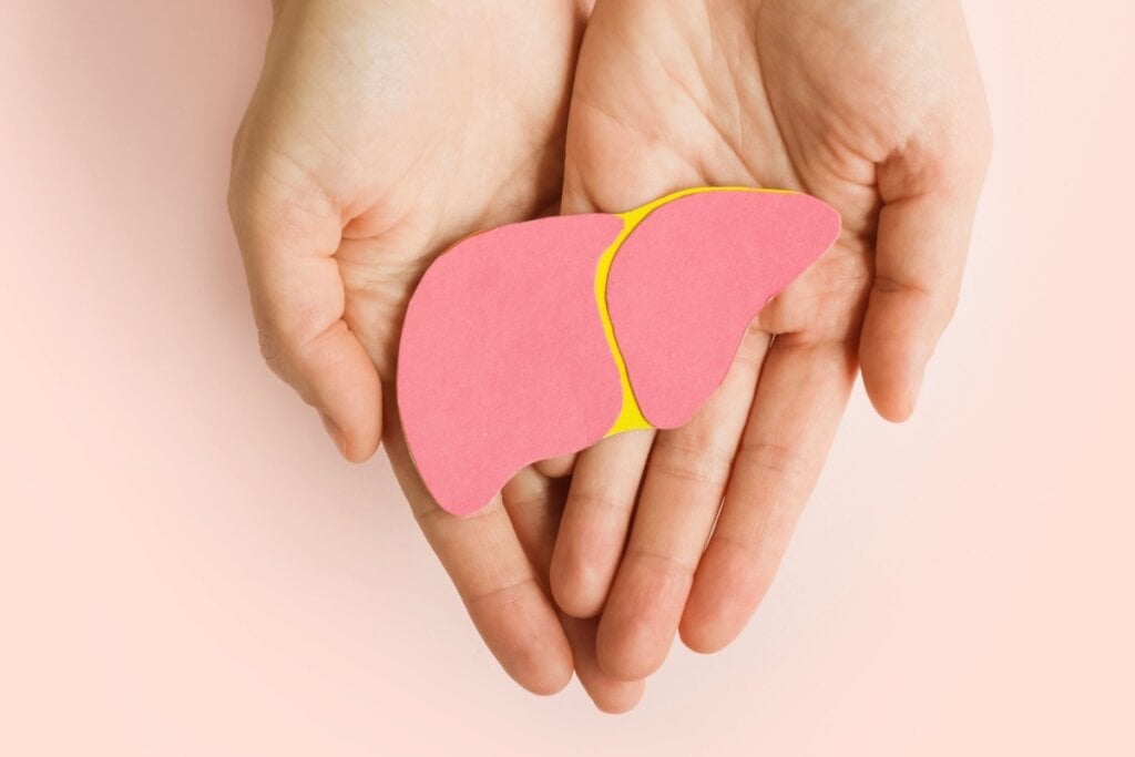 O fígado é responsável por funções vitais no corpo humano (Imagem: Vita_Dor | Shutterstock)