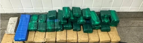 Cerca de 50 kg de maconha foram apreendidos em Feira de Santana